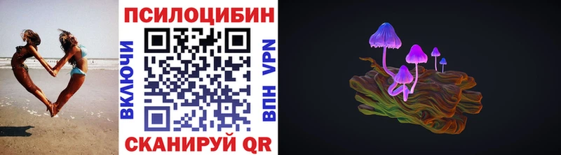 blacksprut   Ядрин  Псилоцибиновые грибы Magic Shrooms 