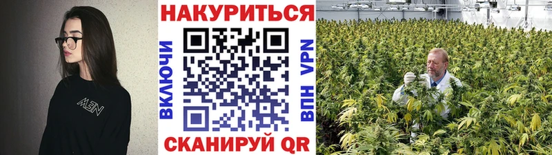наркота  Ядрин  Шишки марихуана White Widow 